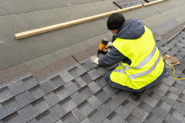Best Storm Damage Roof Repair  in Lutz, FL