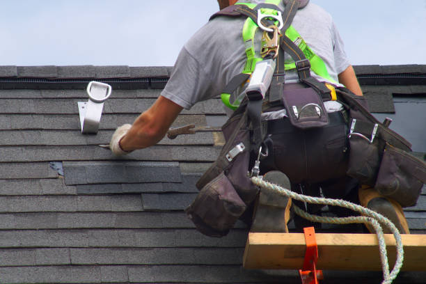 Quick and Trustworthy Emergency Roof Repair Services in Lutz, FL