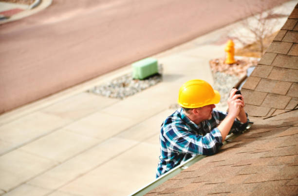 Best Residential Roof Replacement  in Lutz, FL