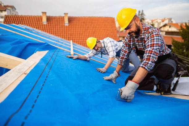 Quick and Trustworthy Emergency Roof Repair Services in Lutz, FL
