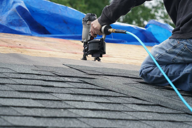 Roof Gutter Cleaning in Lutz, FL